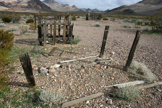 Rhyolite Cemetery (5274)