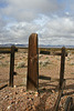 Rhyolite Cemetery (5275)