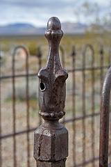 Rhyolite Cemetery (5292)