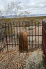 Rhyolite Cemetery (5293)