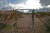 Rhyolite Cemetery Gate (5305)