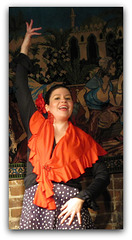Flamenco dancer ..
