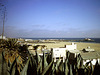 Santa Monica Beach