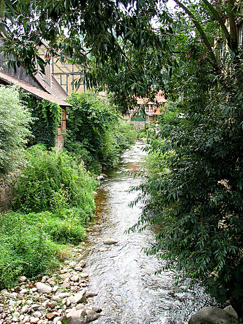 Bach in Kaysersberg - Alsace (Elsass)