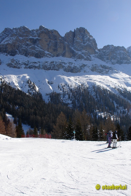 Latemar mountains