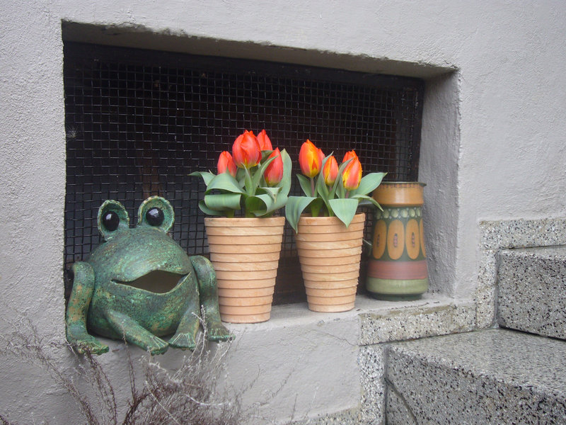 Frühling vors Haus holen