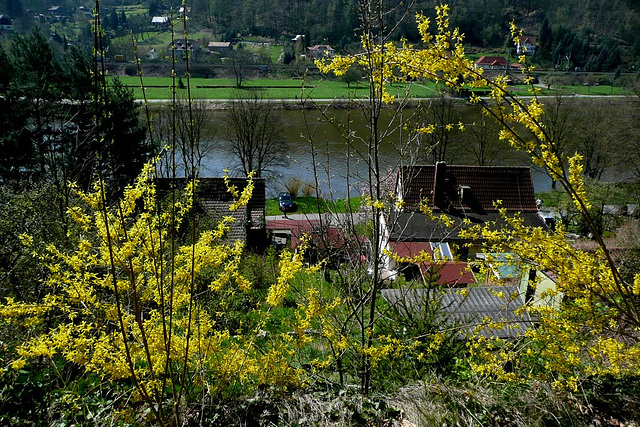 Mein Haus und Garten im Frühling 2010 - mia domo en printempo