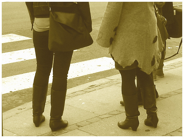 Falk Lauritsen Reiser blonds quatuor / Copenhague - Copenhagen /  Denmark - Danemark.  20 octobre 2008  - Sepia