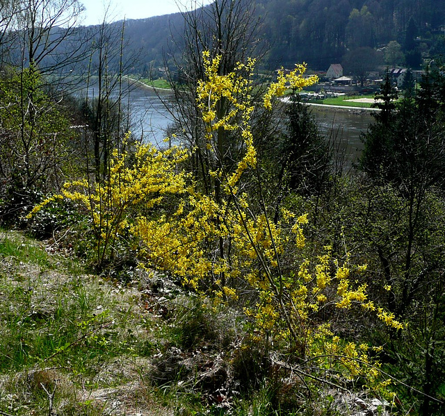 Mein Haus und Garten im Frühling 2010