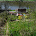 Mein Haus und Garten im Frühling 2010