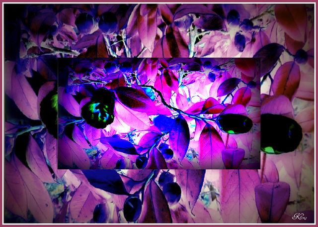 Fleurs !!!!ben oui Fleurs !!!!ben oui