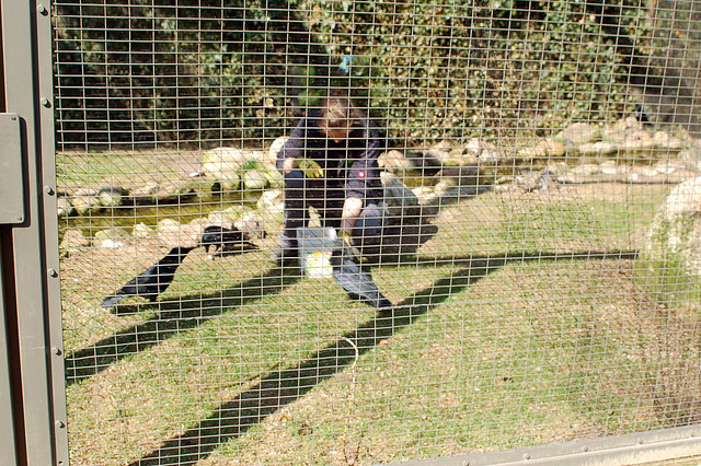 Tierpark Schwarze Berge  009