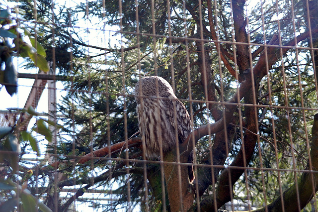 Tierpark Schwarze Berge  010