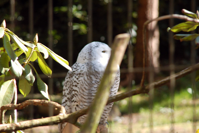 Tierpark Schwarze Berge  011