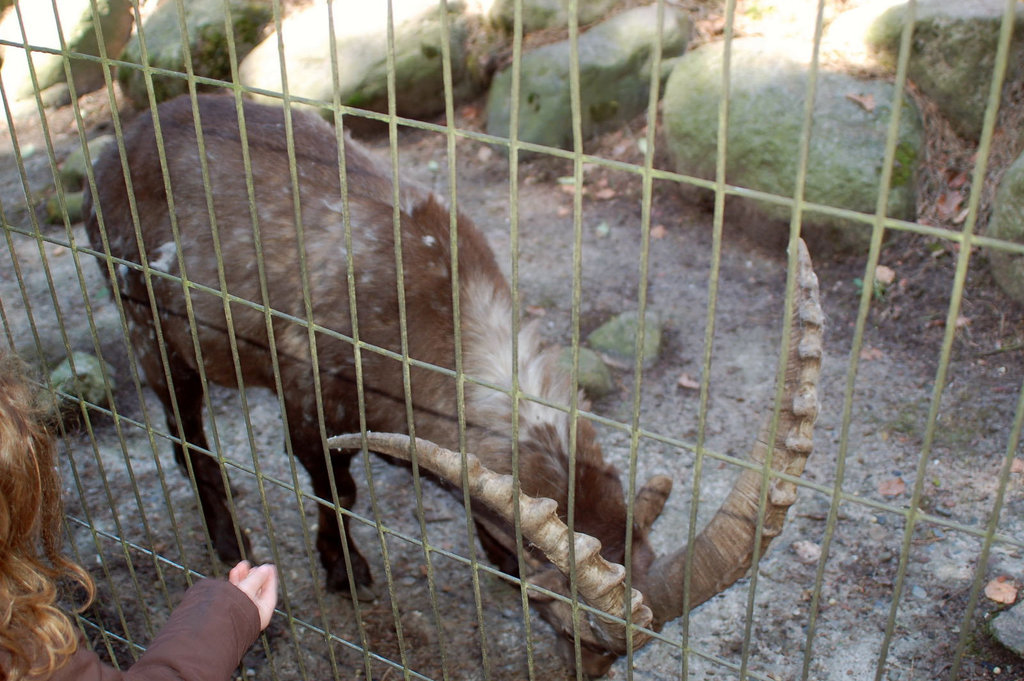 Tierpark Schwarze Berge  016