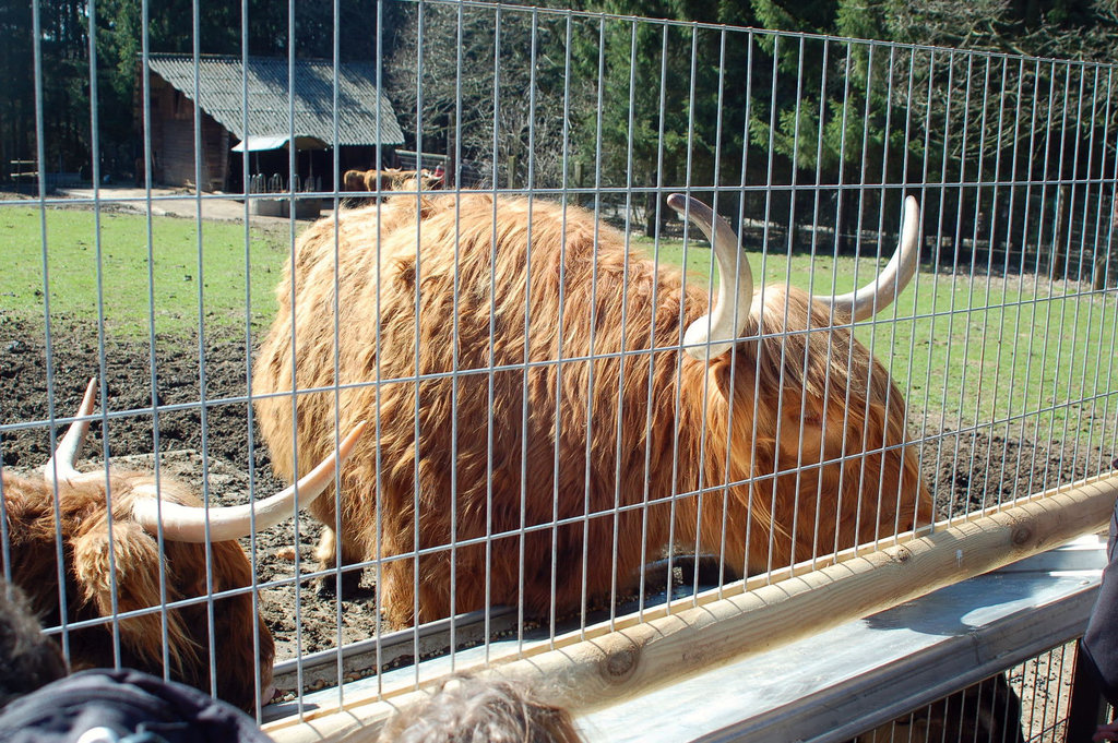 Tierpark Schwarze Berge  020