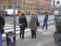 Falk Lauritsen Reiser blonds quatuor / Copenhague - Copenhagen /  Denmark - Danemark.  20 octobre 2008  - Postérisation