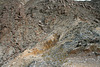 Another Mine (5158)