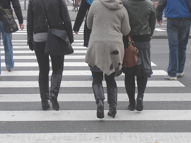 Falk Lauritsen Reiser blonds quatuor / Copenhague - Copenhagen /  Denmark - Danemark.  20 octobre 2008