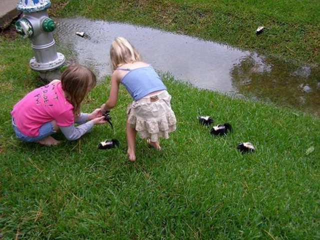 "Hey Grandpa, come see the kittens."