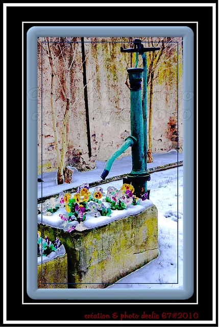 pompe dans jardin à Bischheim