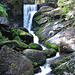 20070430 0286DSCw [D~VS] Triberger Wasserfälle, Triberg