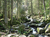 20070430 0289DSCw [D~VS] Triberger Wasserfälle, Triberg