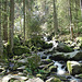 20070430 0289DSCw [D~VS] Triberger Wasserfälle, Triberg