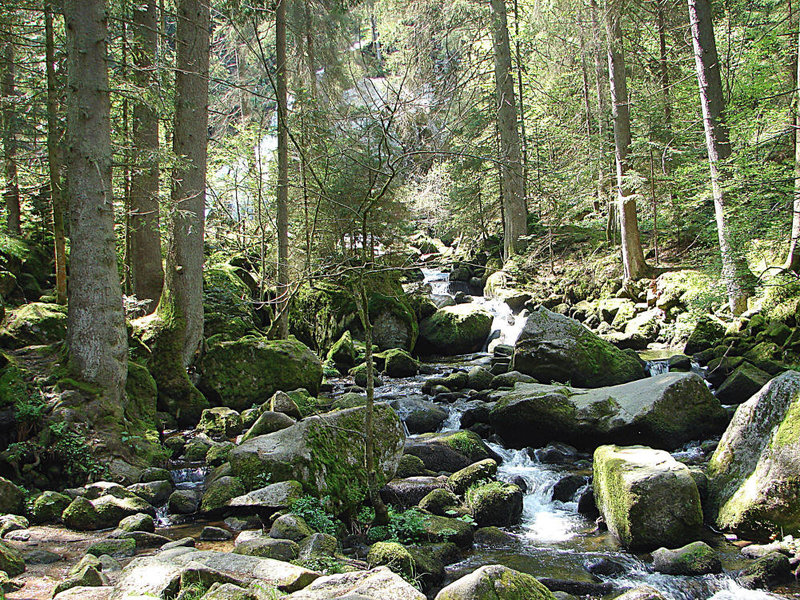 20070430 0289DSCw [D~VS] Triberger Wasserfälle, Triberg