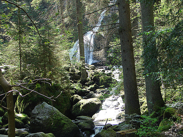 20070430 0291DSCw [D~VS] Triberger Wasserfälle, Triberg