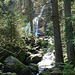20070430 0291DSCw [D~VS] Triberger Wasserfälle, Triberg