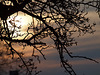 Sonnenuntergang 2010 03 10