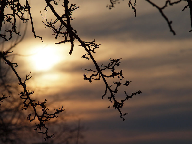 Sonnenuntergang 2010 03 10