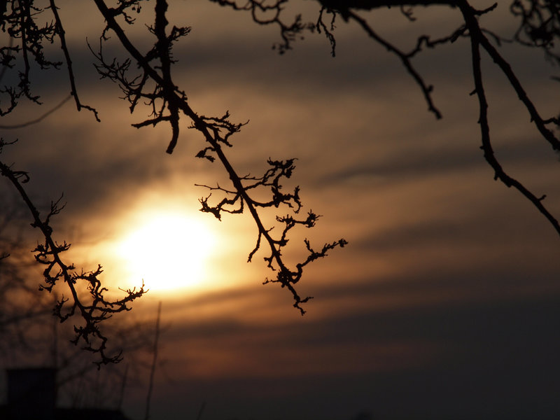 Sonnenuntergang 2010 03 10