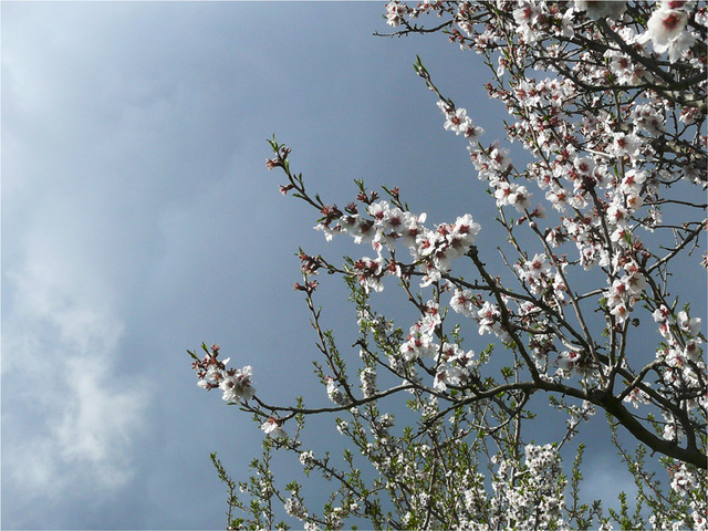 et ciel plombé