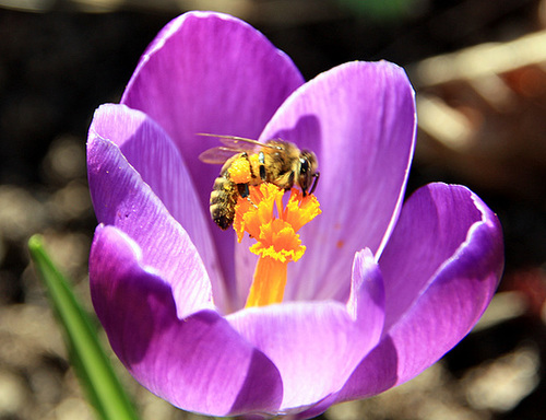 cet après midi 4 mars 2010