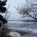 Lac Brome /  Brome lake -  Qc,   CANADA.  28 mars 2010