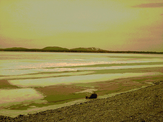 Lac Brome /  Brome lake -  Qc,   CANADA.  28 mars 2010 - Sepia postérisé.