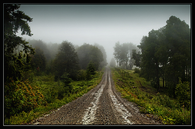 fog ahead......