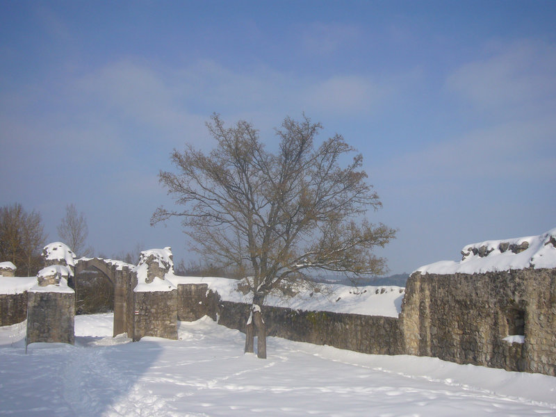 Burg Kallmünz