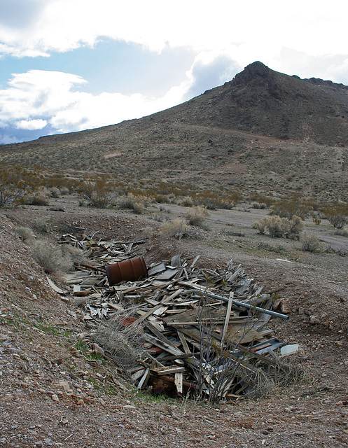 Rhyolite (5396)