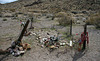 Rhyolite Grave (5411)
