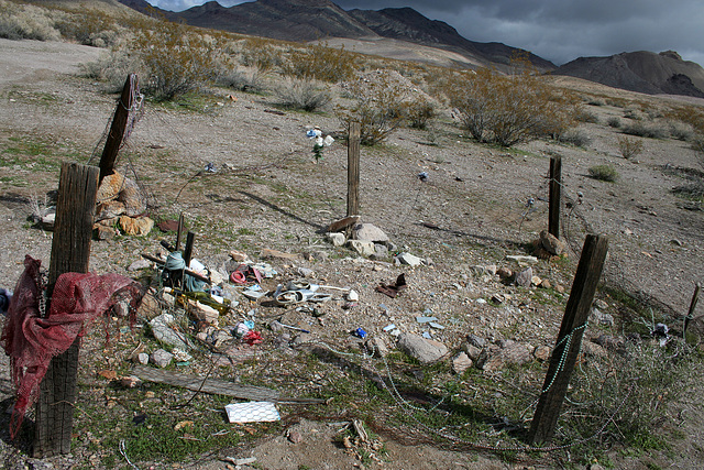 Rhyolite Grave (5412)