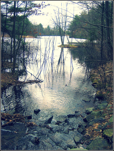 Lake Wintergreen