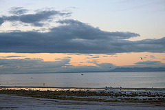 Salton Sea Dawn (3951)