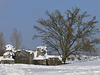 Burg Kallmünz