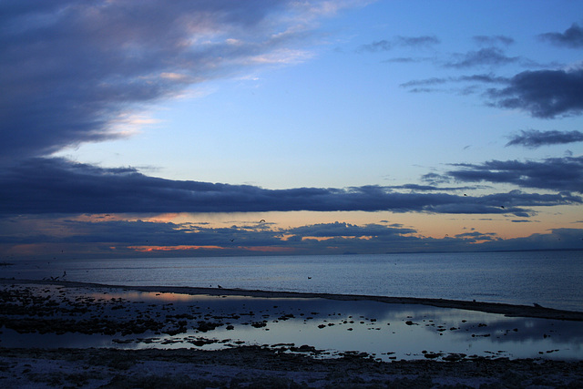 Salton Sea Dawn (3971)