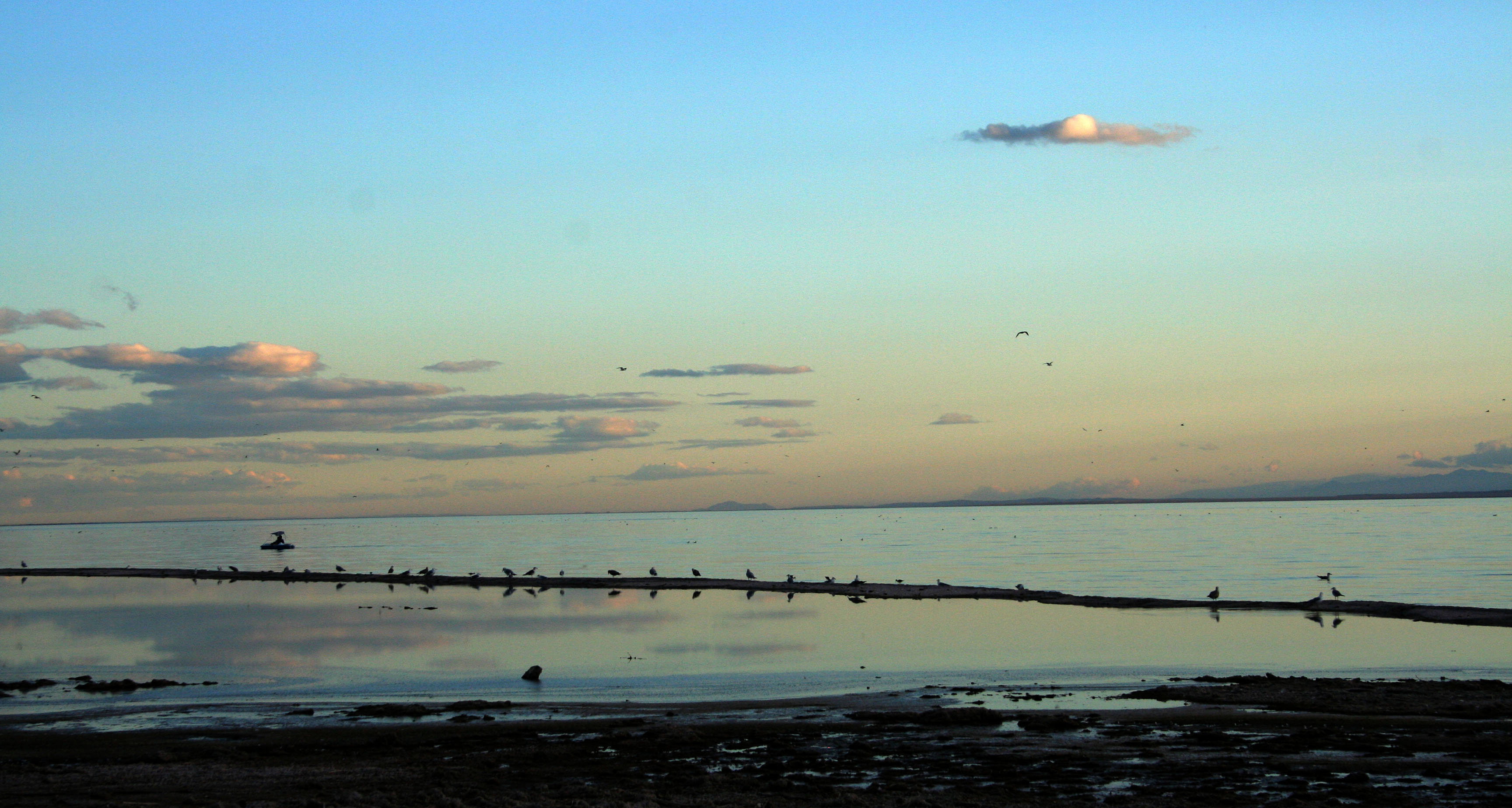 Salton Sea (3992)