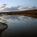 Salton Sea Beach (4032)