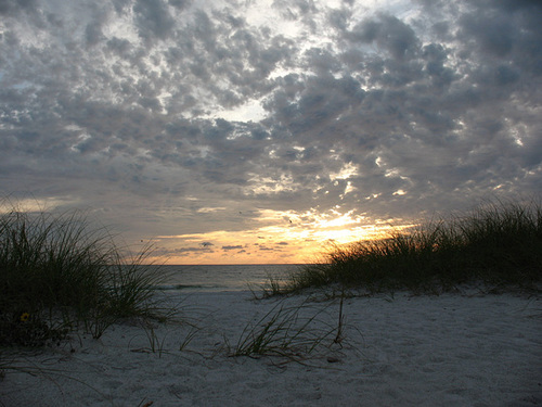 Sandy toes  ..